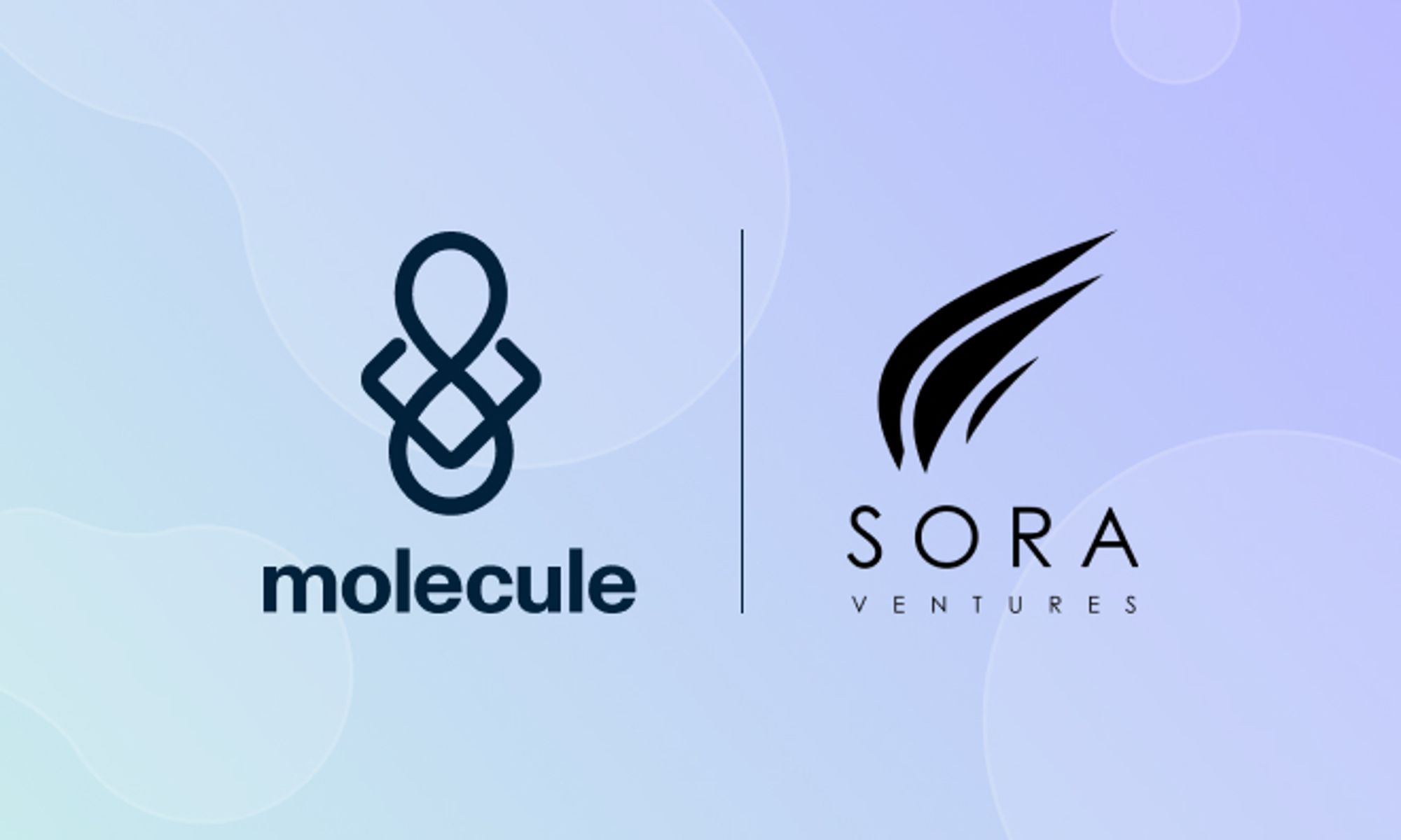 DeSci Forges New Pathways in Asia: Announcing Sora Ventures and Molecule Partnership